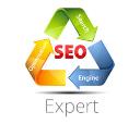 BusinessSEOexpert.com logo